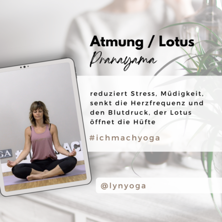 Yoga mit Evelyn Vysher